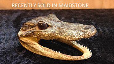 Maidstone sold item